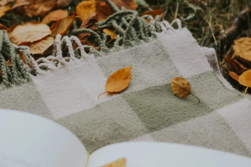 Cut Flannel in September, Wear It by December: A Month-by-Month Sewing Calendar